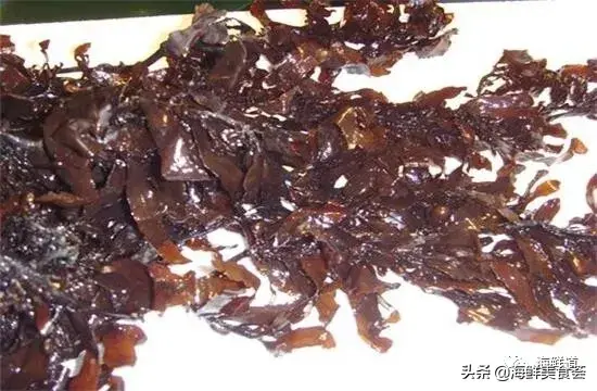 马头鱼观赏鱼_马头鱼活体_马头鱼养殖技术