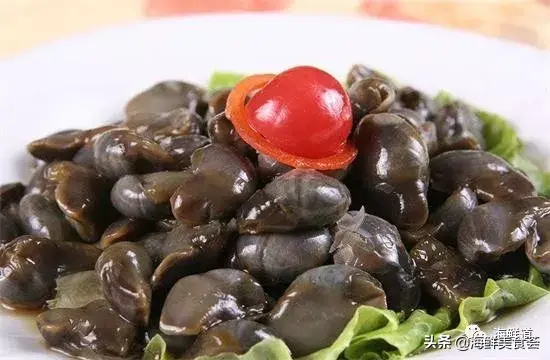 马头鱼养殖技术_马头鱼活体_马头鱼观赏鱼