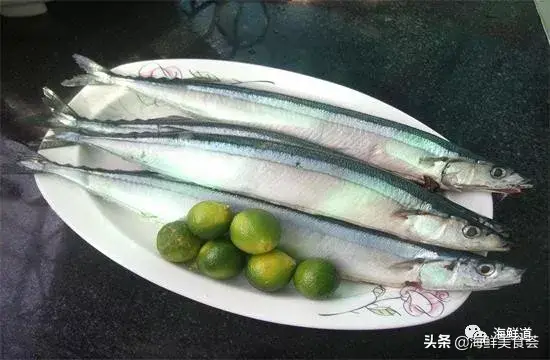 马头鱼养殖技术_马头鱼观赏鱼_马头鱼活体