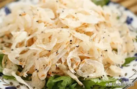 马头鱼观赏鱼_马头鱼活体_马头鱼养殖技术