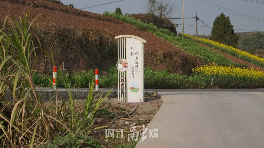 浙江养甲鱼的多吗_浙江甲鱼养殖致富_致富养殖浙江甲鱼视频