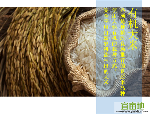 订单种植致富案例_致富好项目种植_致富种植视频全集