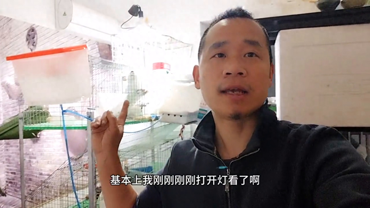 致富经宠物兔养殖视频_家兔散养致富经视频_致富经散养兔子视频