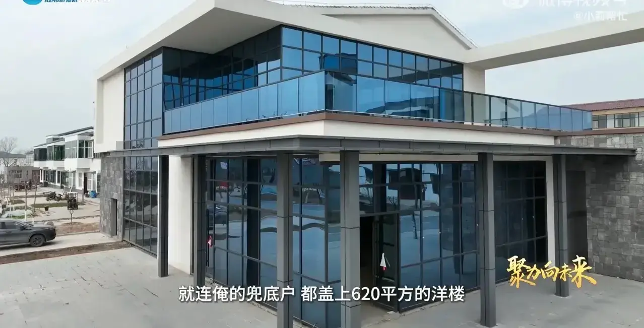 致富经绿茄_致富经茄子种植视频_致富经绿茄
