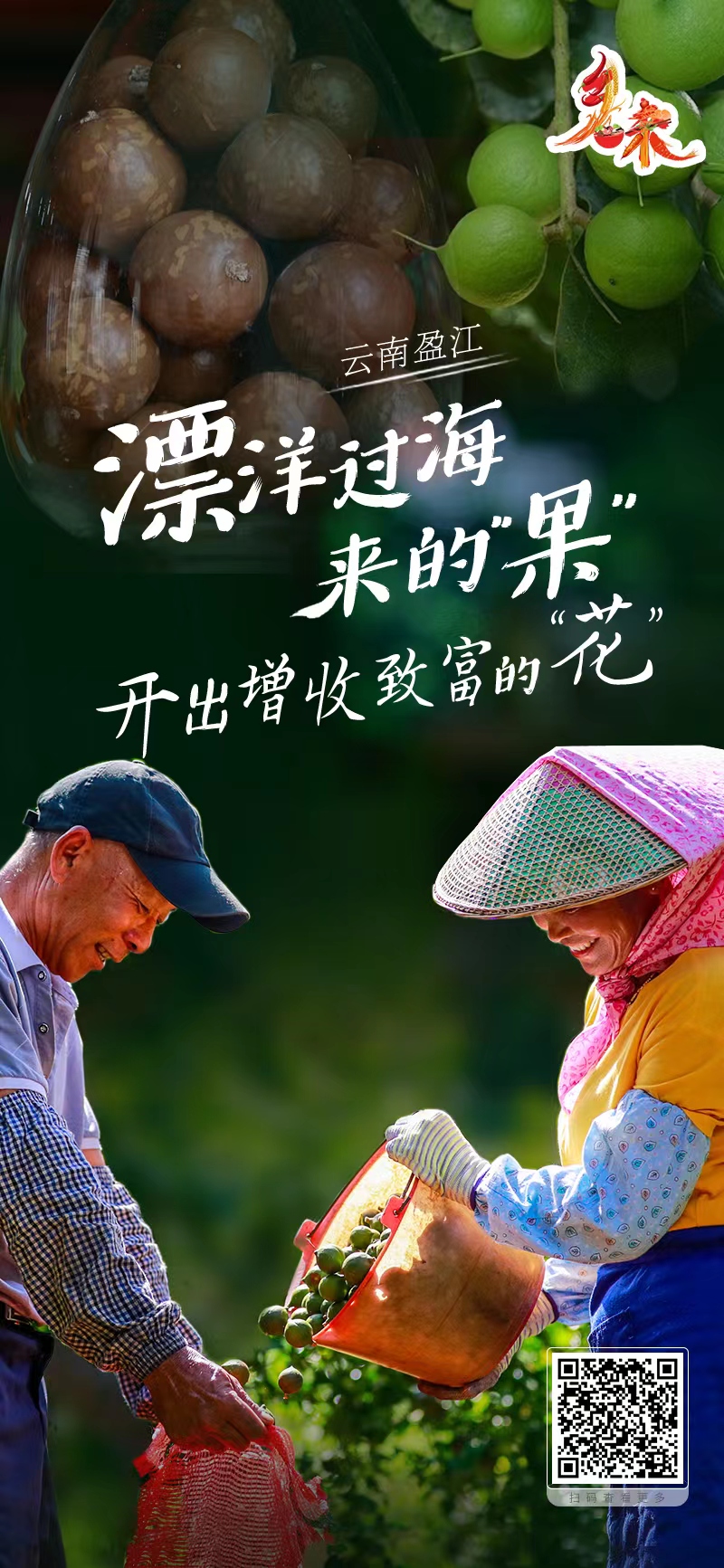 土特产种植致富_种植致富新项目_致富好项目特种菜种植