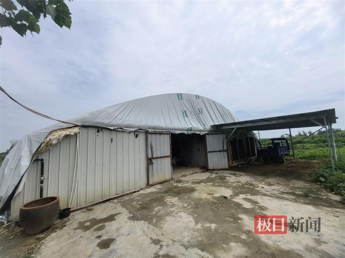 家兔散养致富经视频_近期致富经养兔视频_致富经散养兔子视频