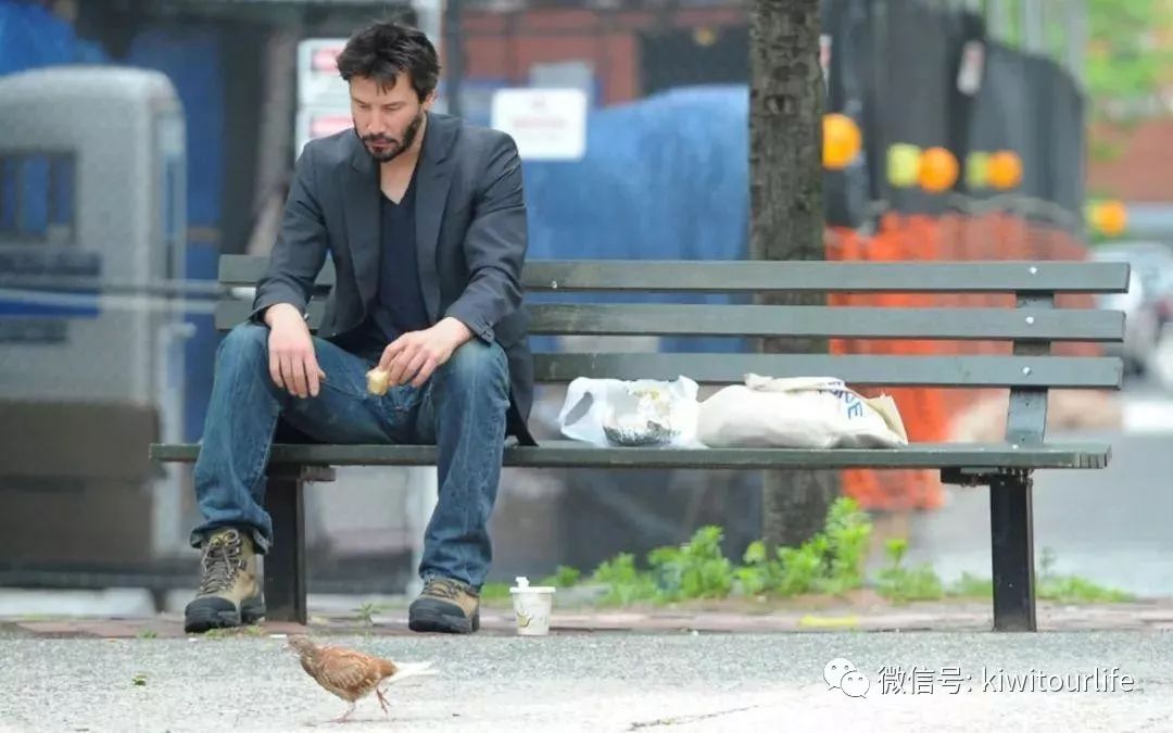 别墅养鸡鸭_致富别墅养鸡怎么样_致富经别墅养鸡