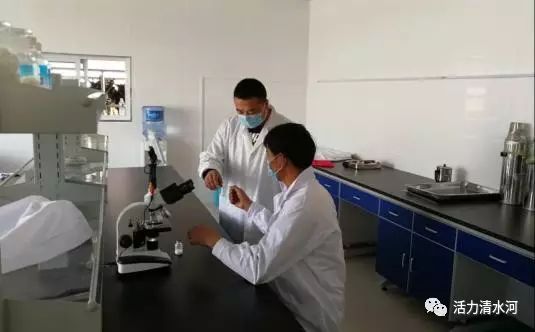 肉驴养殖技术下载_驴养殖技术百度文库_驴养殖户