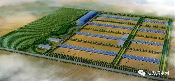 驴养殖技术百度文库_驴养殖户_肉驴养殖技术下载
