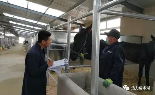 驴养殖技术百度文库_驴养殖户_肉驴养殖技术下载