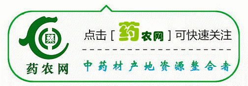 中草药种植致富行业有哪些_致富种植药中草行业有哪些_药材种植业致富项目