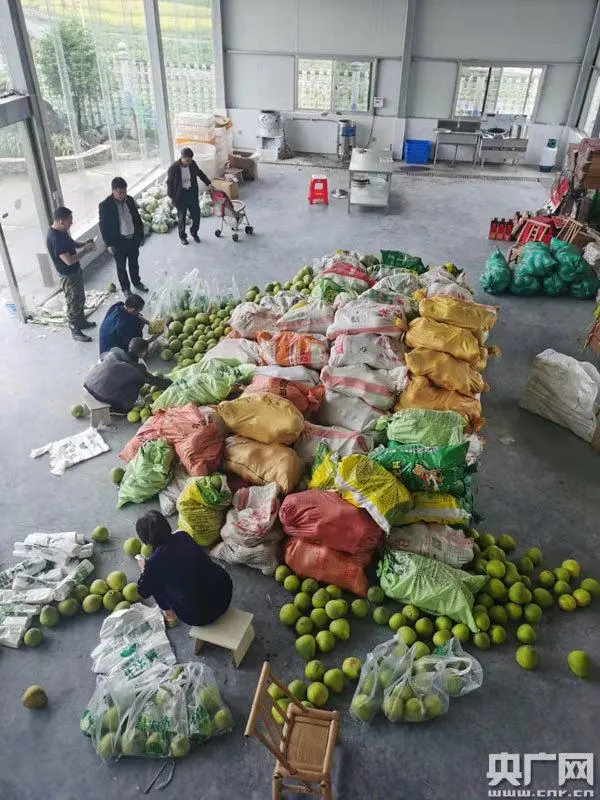 农家养殖土鸡技术视频_农家养殖土鸡技术与管理_农家土鸡养殖技术