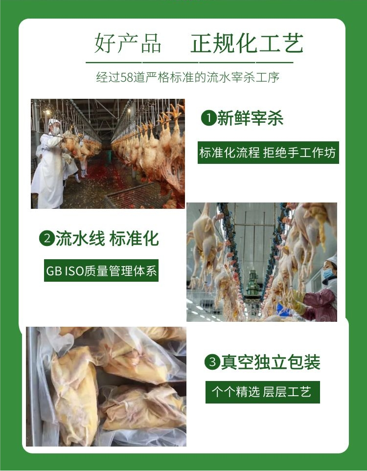 每日农经农家土鸡养殖技术视频_农家养殖土鸡技术培训_农家土鸡养殖技术