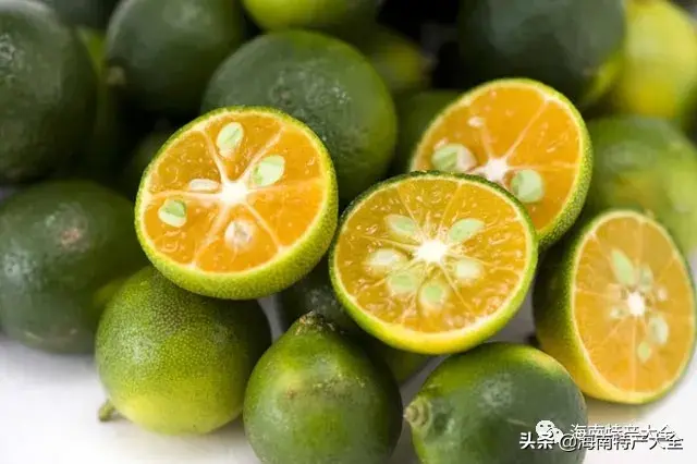 当醋食用的海南青金桔，为何对它如此钟情？