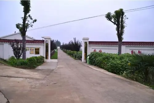 致富水果湖南卖多少钱_致富水果湖南卖什么_致富经卖水果湖南的