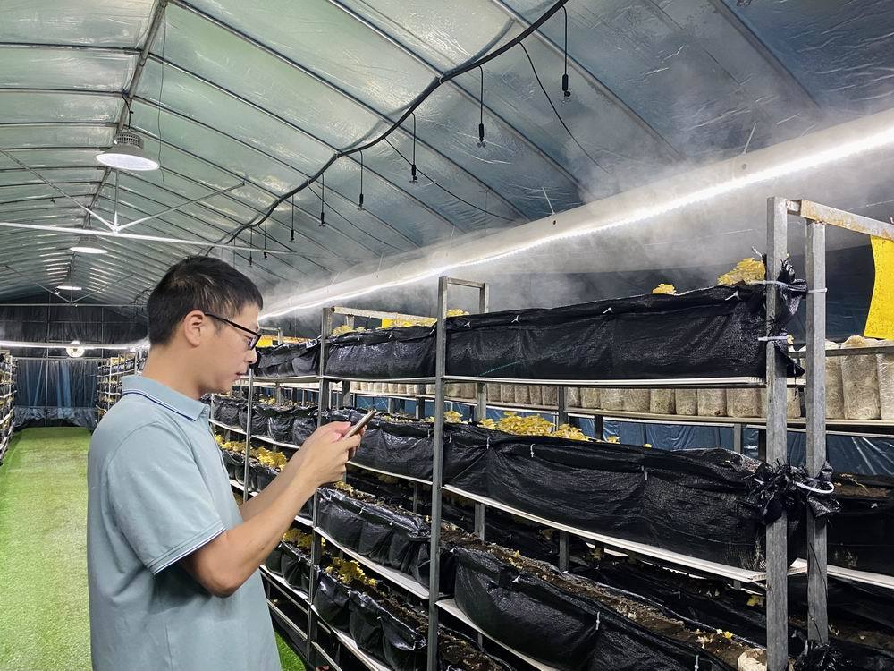 江苏养殖补贴政策2020_致富养殖江苏政策文件_江苏养殖致富政策