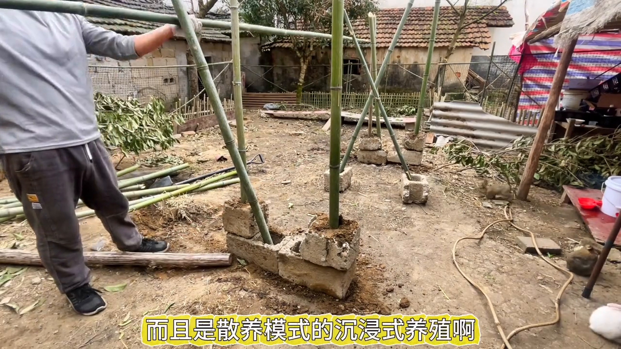 视频致富散养家兔下载_致富经散养兔子视频_家兔散养致富经视频