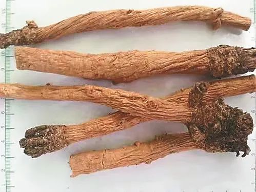 甘南种植什么_甘南县种植面积_甘南农村种植致富