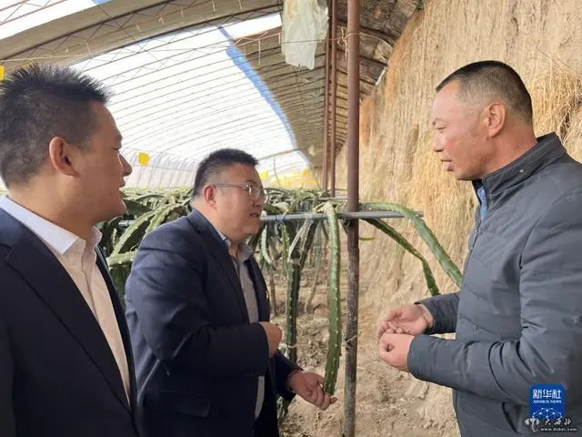 致富水果湖南卖什么_致富经卖水果湖南的_致富水果湖南卖的怎么样