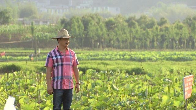 致富大侠豪猪范平是谁_致富经豪猪_致富经豪猪大侠范平