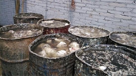 种植什么树致富快_种树致富全部视频_致富种植什么比较赚大钱
