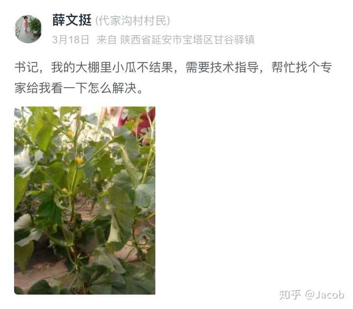 每日农经致富经贵妃鸡_致富经贵妃鸡养殖_养贵妃鸡致富经