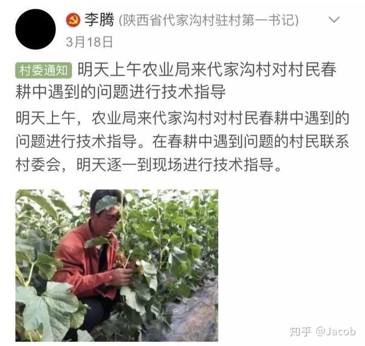 致富经贵妃鸡养殖_每日农经致富经贵妃鸡_养贵妃鸡致富经