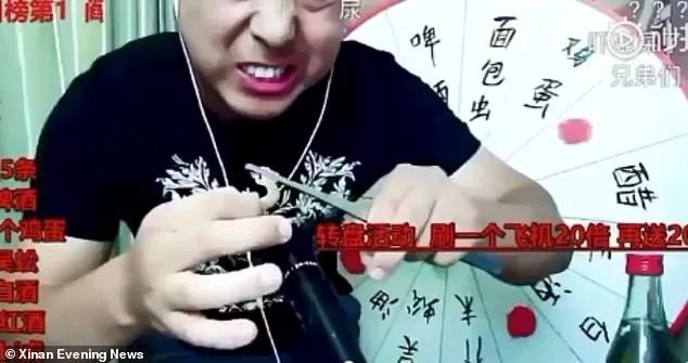 2021年养殖壁虎的效益怎样_壁虎养殖致富之路_养殖壁虎赚钱吗