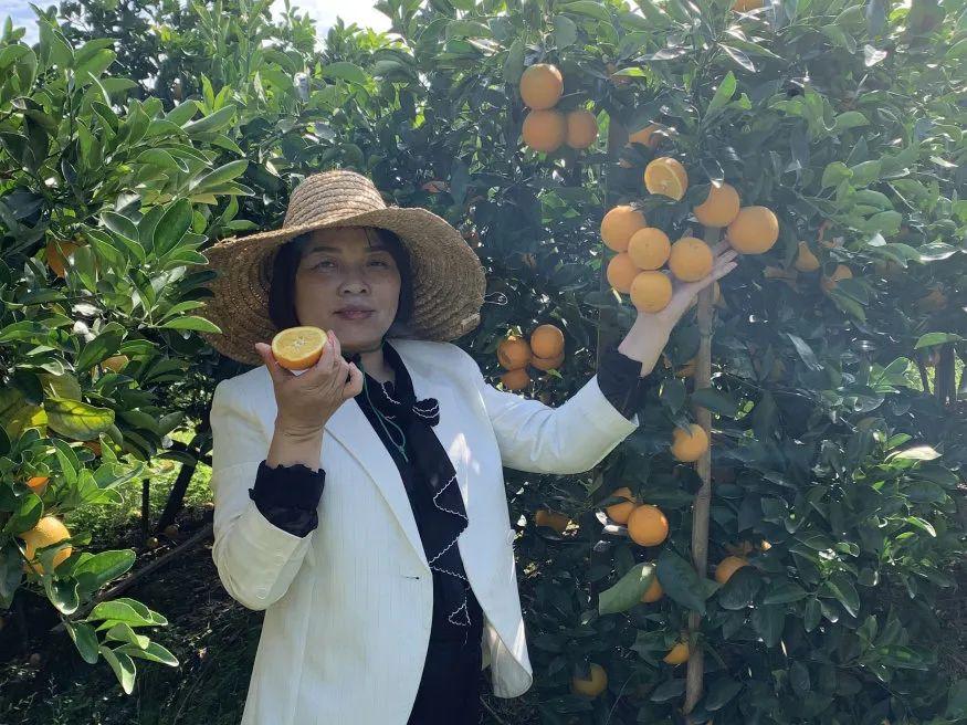 致富经七彩山鸡创业_七彩山鸡成本及利润_致富经七彩山鸡养殖视频