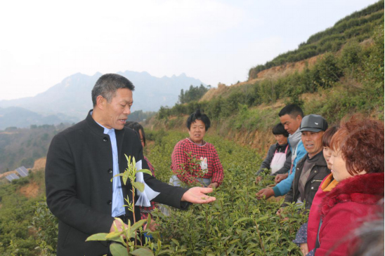 种植野果前景如何_致富种植野果视频_种植致富的野果