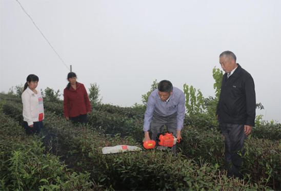 致富种植野果视频_种植野果前景如何_种植致富的野果