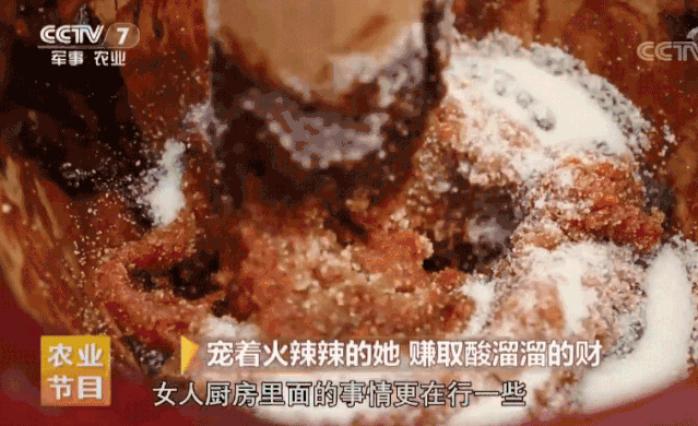 七彩山鸡养殖案例_七彩山鸡成本及利润_致富经七彩山鸡创业