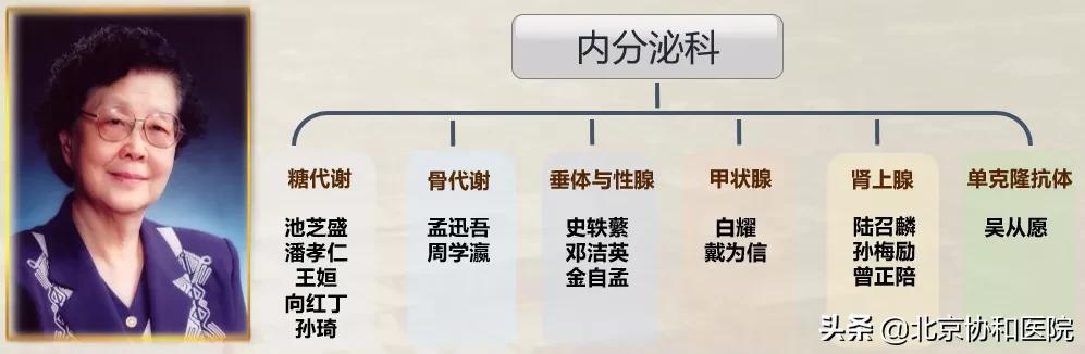 内分泌优质护理经验_护理经验丰富_优质护理经验交流