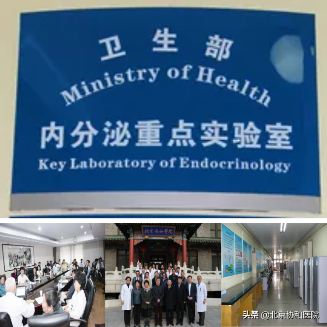 优质护理经验交流_护理经验丰富_内分泌优质护理经验
