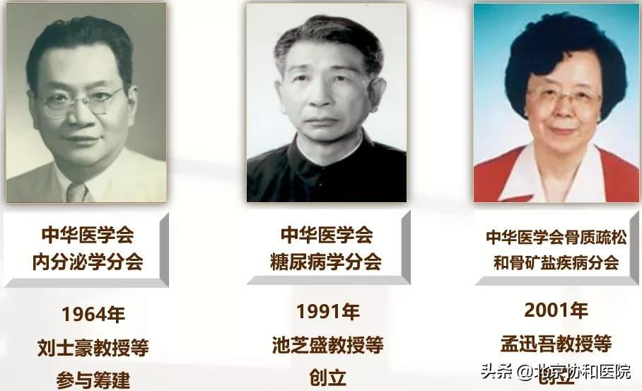 优质护理经验交流_护理经验丰富_内分泌优质护理经验
