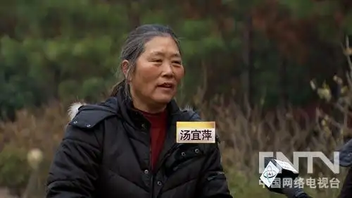 致富经养殖土鸡：土鸡、土鸡蛋年销售额达到了一千多万