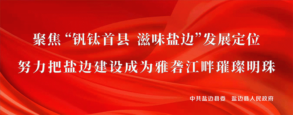 种植盆景柚子致富_柚子盆景怎么种植方法_致富柚子种植盆景图片