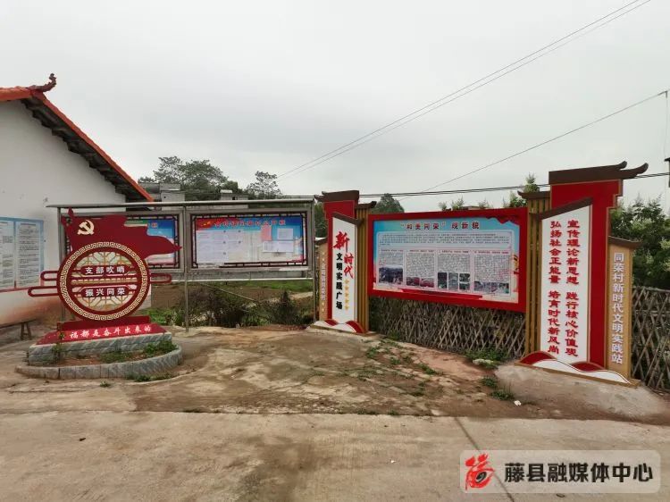柚子盆景怎么种植方法_种植盆景柚子致富_柚子盆栽种植