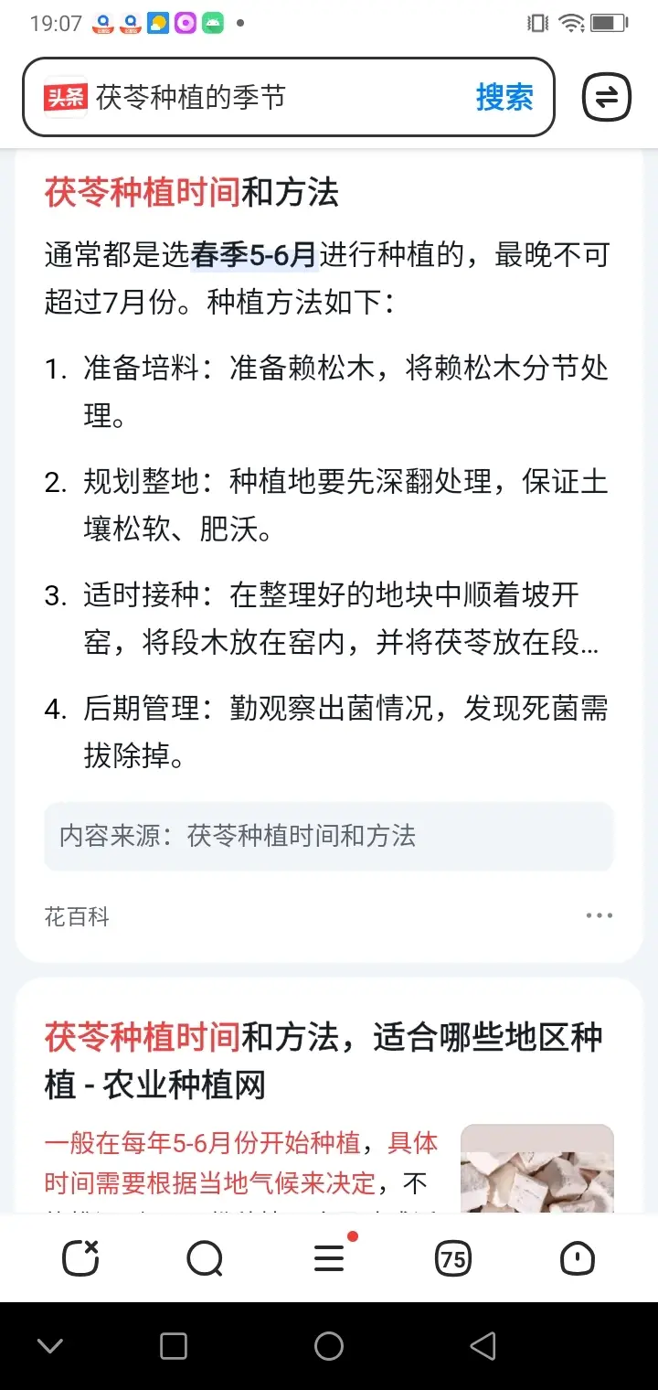 松茯苓的种植技术_松树茯苓种植技术视频_松茯苓种植技术