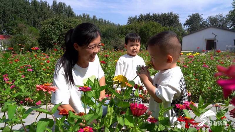 东营养殖锦鲤致富新闻事件_山东锦鲤养殖场排名_锦鲤养殖视频