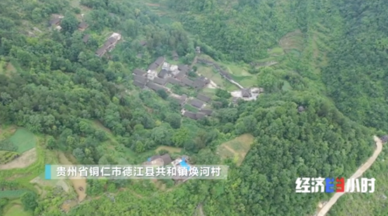 大棚香椿致富经视频_大棚种植香椿视频_大棚香椿效益怎么样