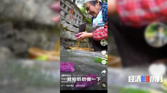 大棚香椿致富经视频_大棚香椿效益怎么样_大棚种植香椿视频