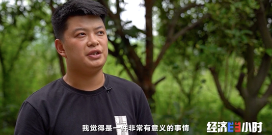 大棚香椿效益怎么样_大棚香椿致富经视频_大棚种植香椿视频