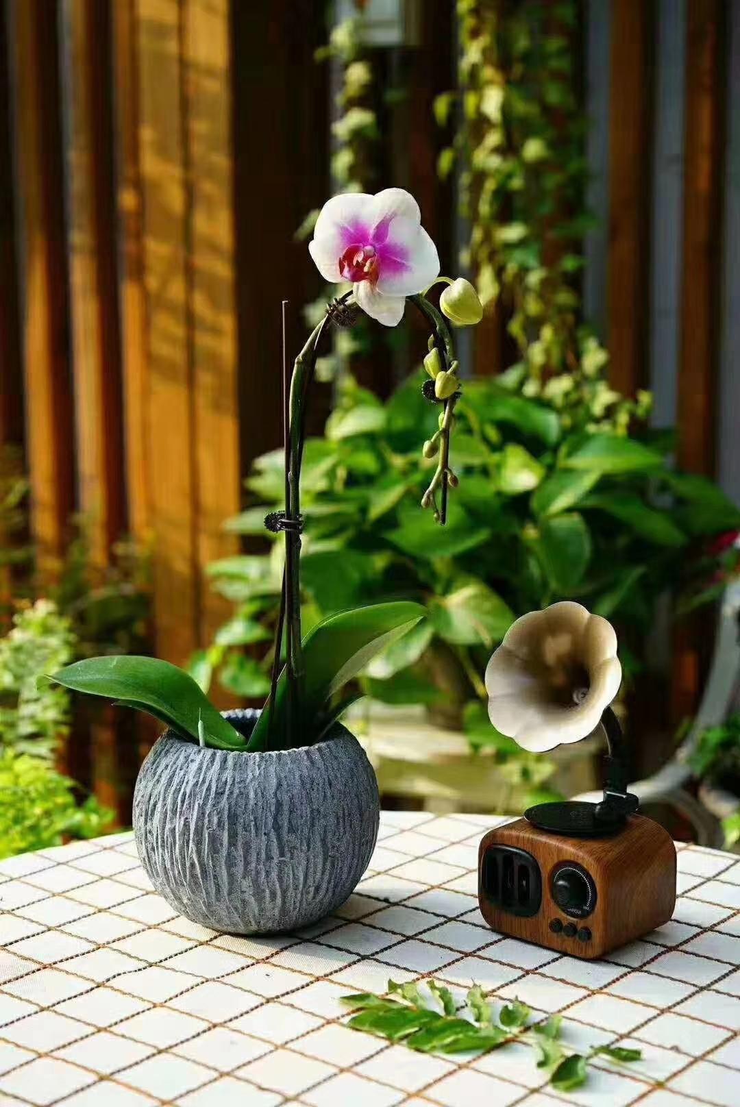 种植水培技术视频_水培种植技术_种植水培技术有哪些