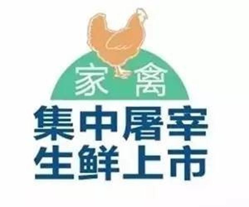 养殖超市活鲜技术要求_超市活鮮养殖技术_养殖超市活鲜技术有哪些