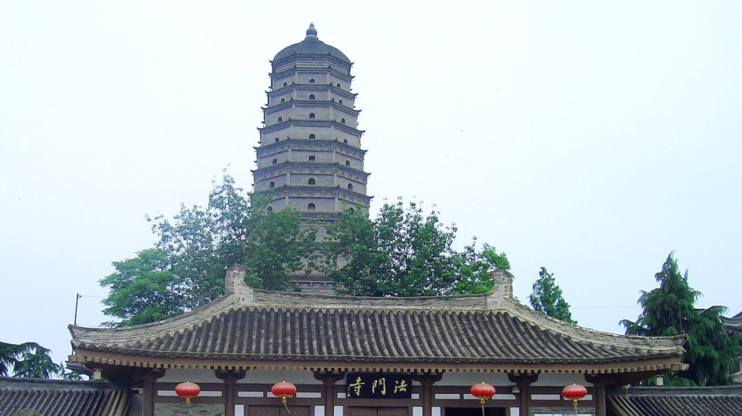 胡志明致富经_致富经胡志明养蛇视频_致富经胡志明
