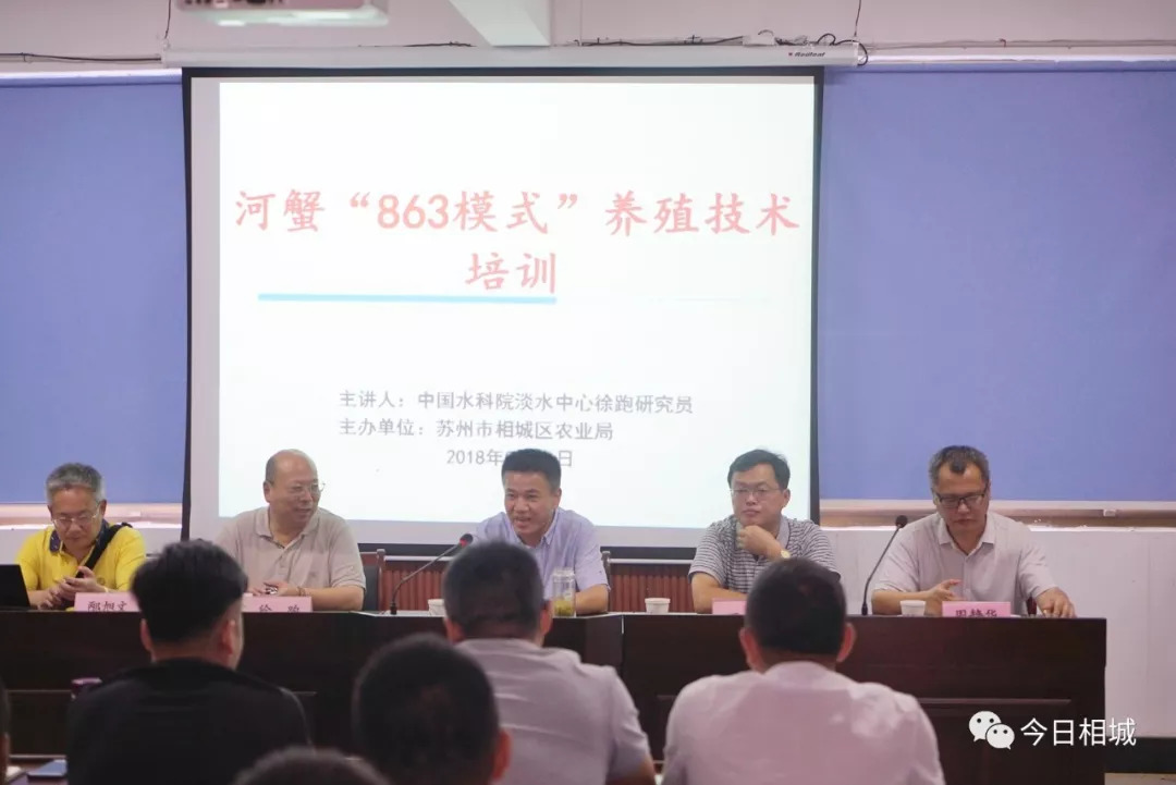 最新螃蟹养殖技术视频_生财有道螃蟹养殖视频_螃蟹青虾养殖技术视频