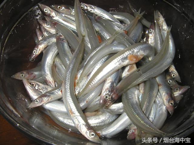 超市活鮮养殖技术_养殖超市活鲜技术要求_超市鲩养殖模式