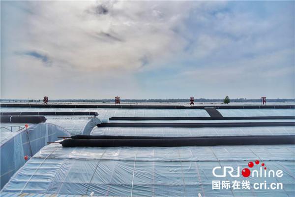 螃蟹挣钱吗_致富经螃蟹_螃蟹致富新闻