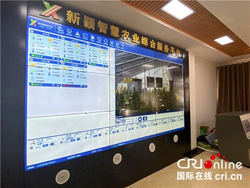 致富经螃蟹_螃蟹致富新闻_螃蟹挣钱吗